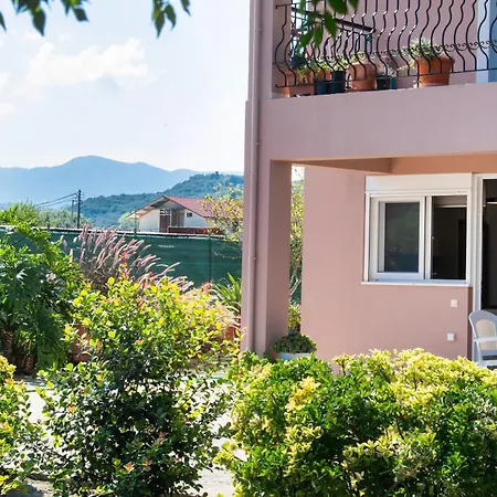 Ruellia Luxury * Kalligoni